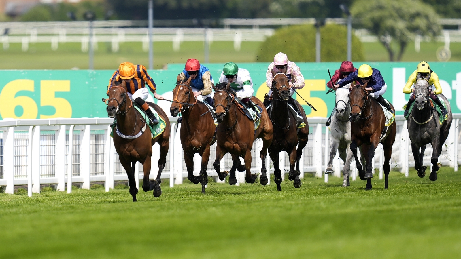 Dancing Gemini scores Sandown success