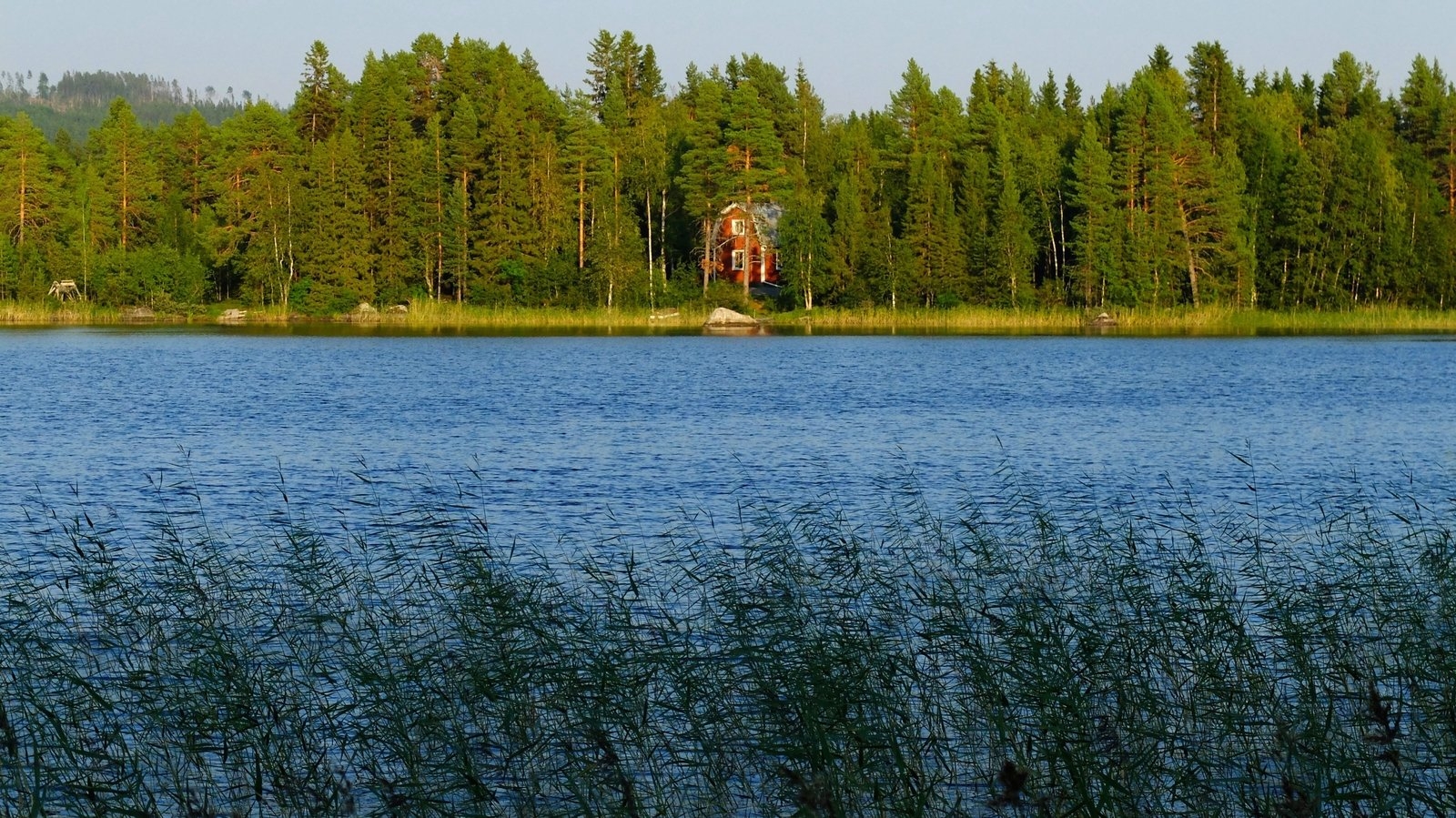 Summer 2024 was Lapland's warmest in 2,000 years: study