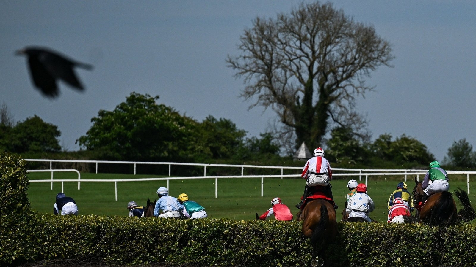 Punchestown Festival round-up: Ascending Lark triumphs to extend unbeaten run