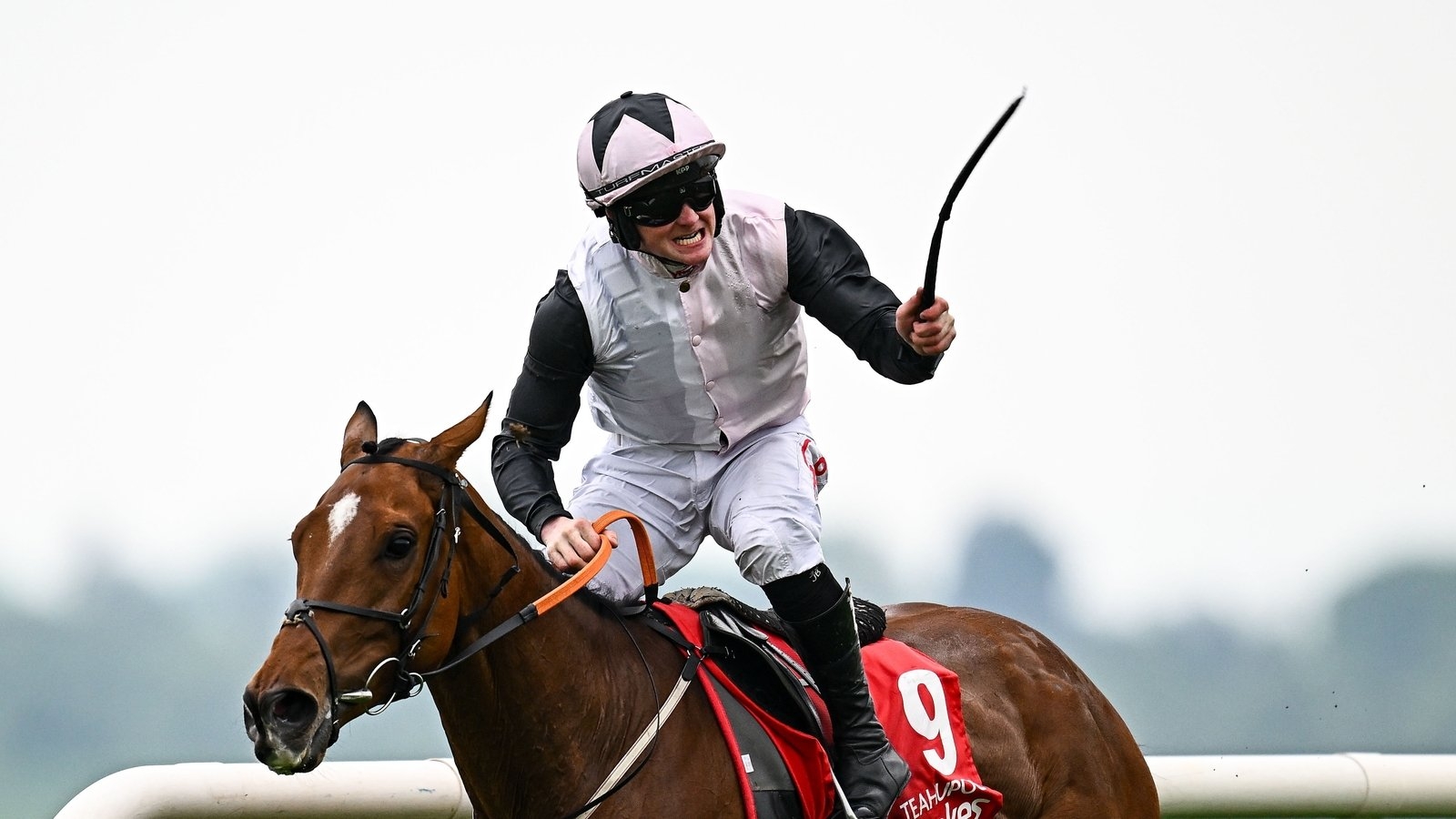Teahupoo bounces back to win Stayers Hurdle at Punchestown