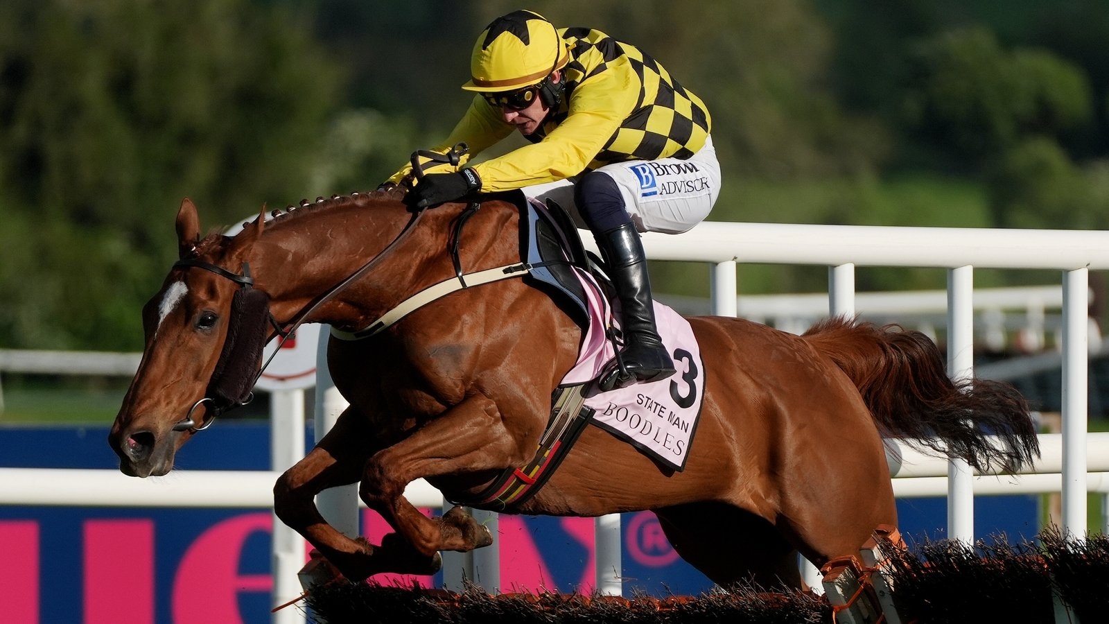 State Man records statement win at Punchestown as Constitution Hill flops