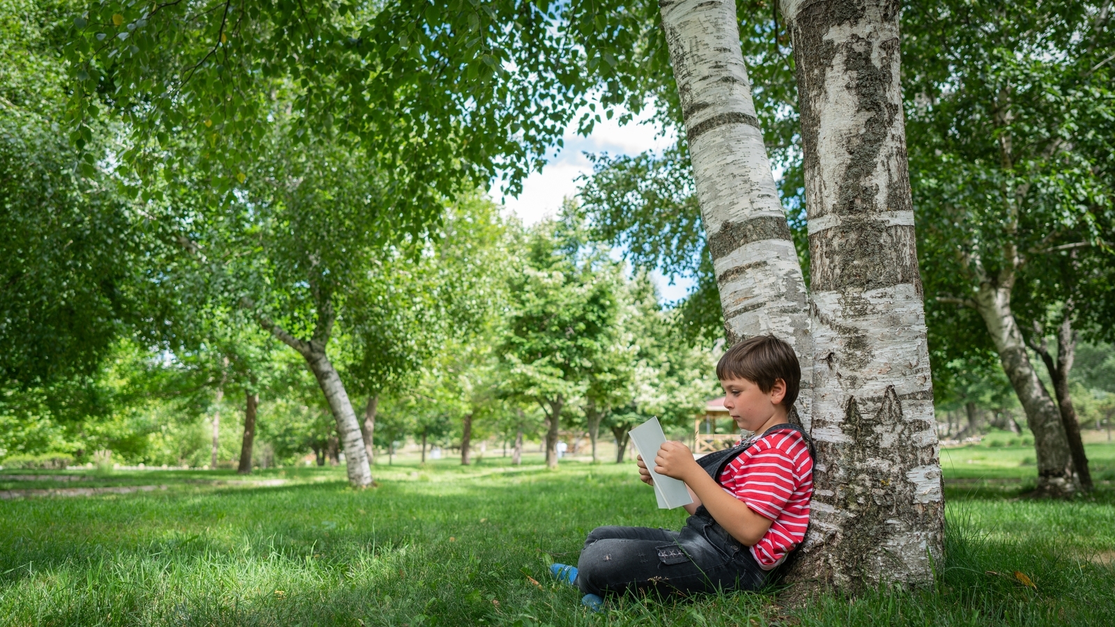 RTÉjr Book Club: New voices step out into the sun this May