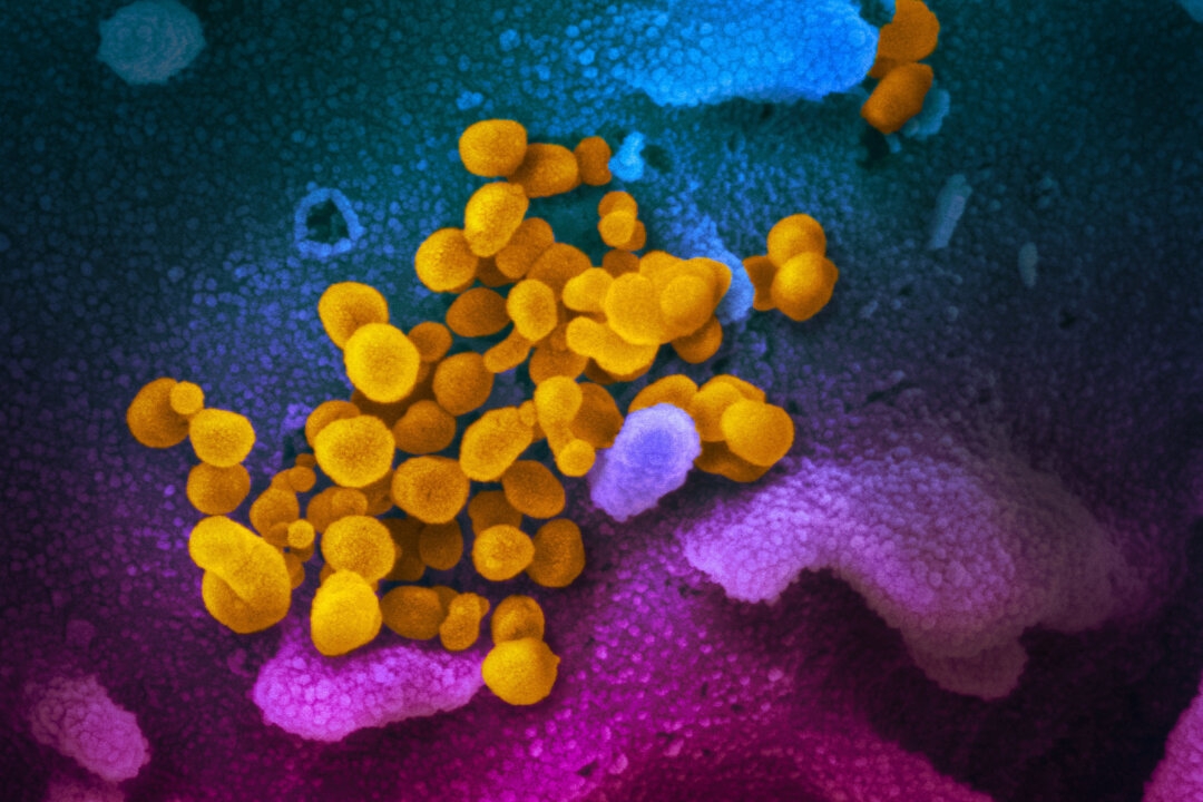 New COVID-19 Variant May Be Driving Up Cases in Some Parts of the World: WHO