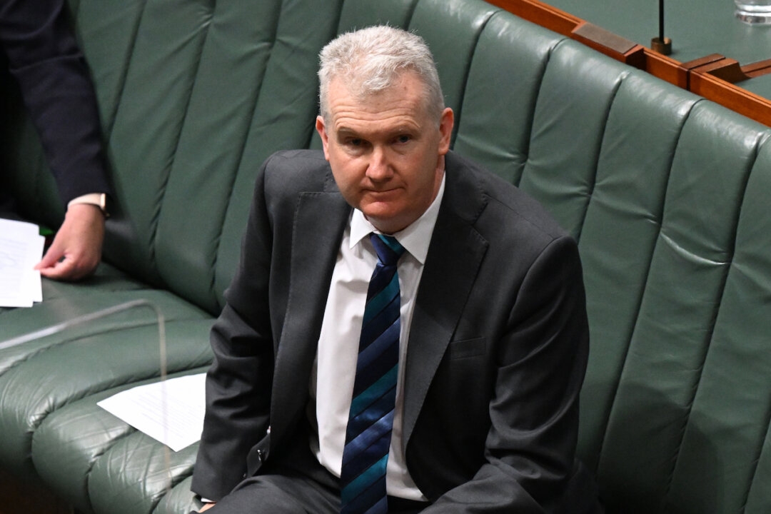 Labor Announces New ‘Office for Multicultural Affairs'