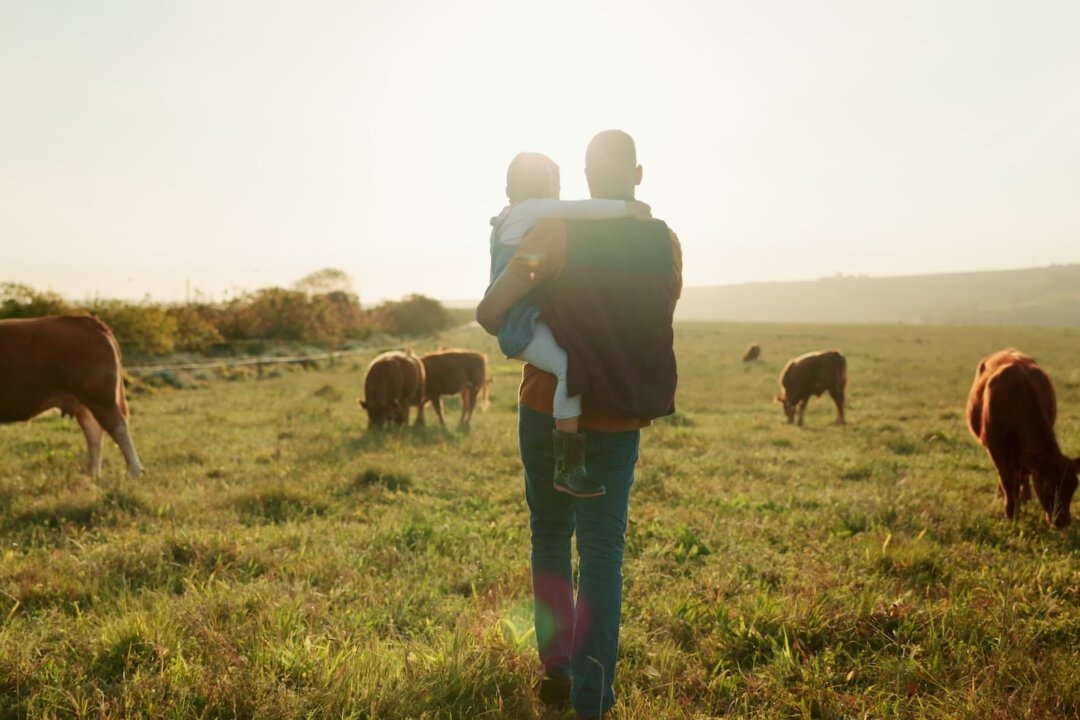 The Death of the Small Farm Is the Death of Rural America