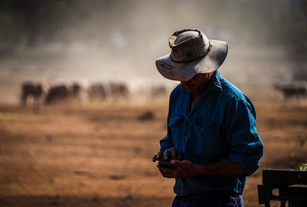 ‘Sheep Are Our Lifeline': Farmer's Daughter Pleads With Albanese Against Live Export Ban