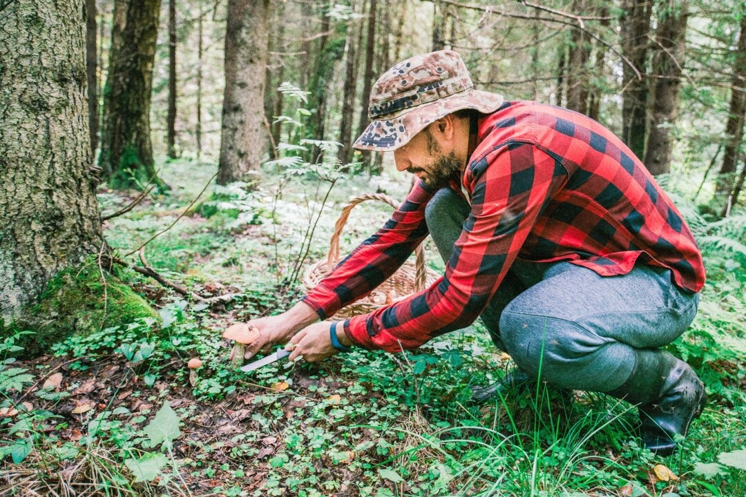 A Key Longevity Antioxidant Is Fading From Our Food Supply