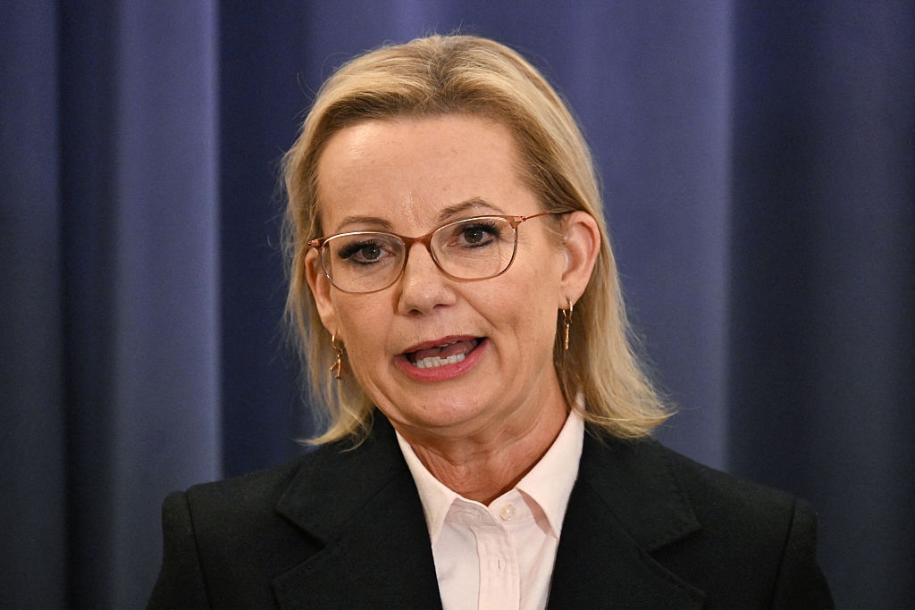 Coalition Back Together After Nationals Walkout