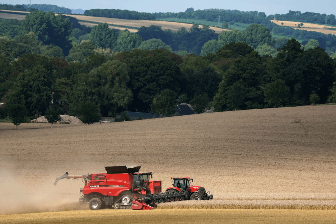 MPs Call for Delay to Inheritance Tax Change to Protect ‘Vulnerable Farmers'