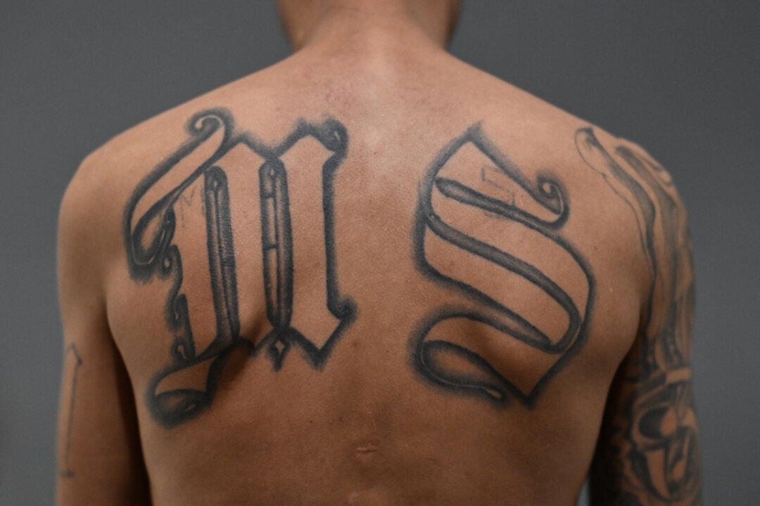 3 MS-13 Members Charged in Murder of Former Member-Turned-Informant