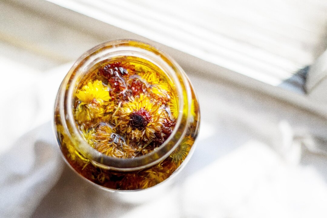 Calendula: An Ancient Remedy for Skin, Mouth, and Cancer Care Relief