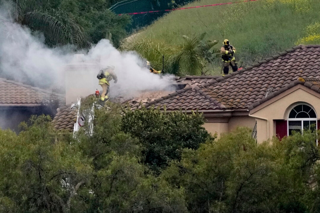 Small Plane Crashes Into Los Angeles-Area Neighborhood, Killing 2 People and a Dog