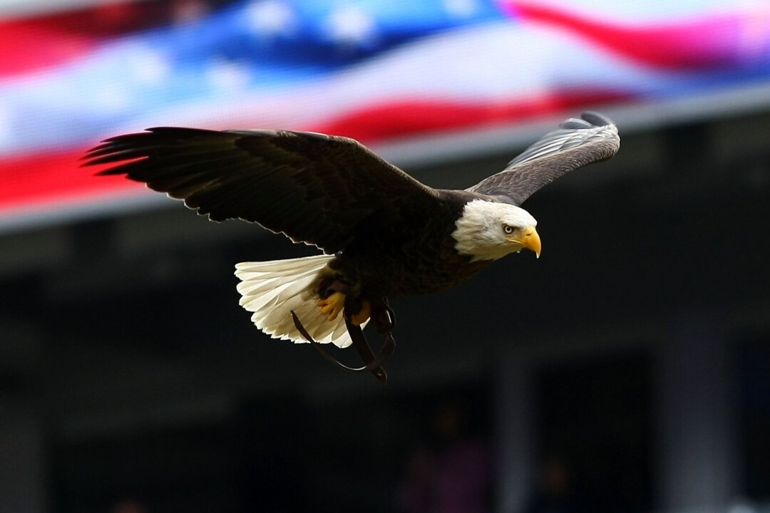 ‘Where the Stars and Stripes and the Eagle Fly'