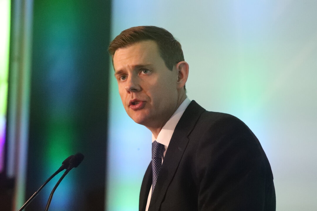 White Brits Will Be a Minority in UK Within 40 Years, Report Predicts