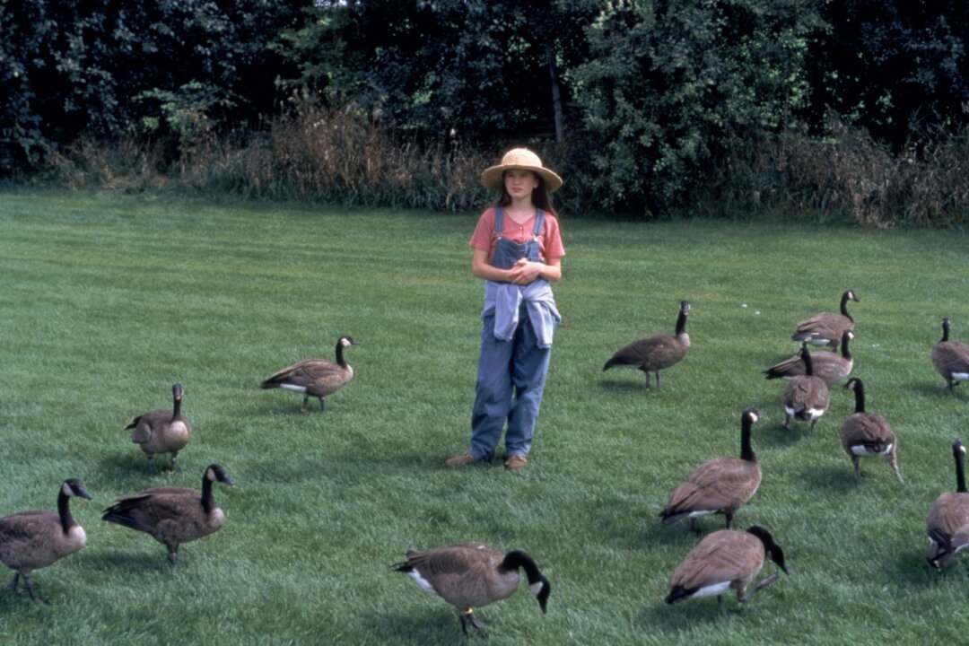 ‘Fly Away Home': Love of Nature Isn't Quite Love