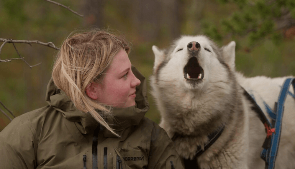 ‘Folktales': A Brilliant Way to Get Teenagers Off Phones
