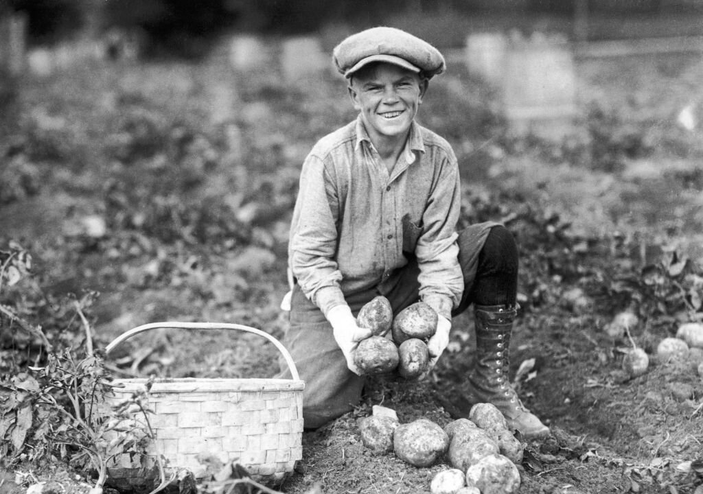 We Are the Soil: Rediscovering God's Design for Food, Dirt, and Ourselves
