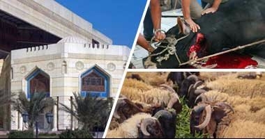 مركز الازهر للفتوى الإلكترونية يوضح عيوب الأضحية