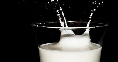 زبادى ولا لبن رايب بعد السحور.. أيهما أفضل لهضمك وصحتك