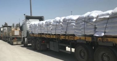 إعلام إسرائيلى: إدخال 30 شاحنة مساعدات يوميا إلى غزة خلال الأسبوع الجارى