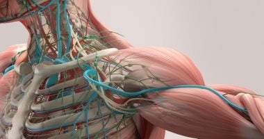 تعرف على أهمية الأملاح المعدنية للجسم