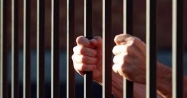 معاقبة مشجع نادى مالية كفر الزيات بالحبس 6 أشهر لارتكابه فعل فاضح بالمدرجات