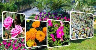 أخبار مصر.. 3 وزراء يفتتحون معرض زهور الربيع بالمتحف الزراعى