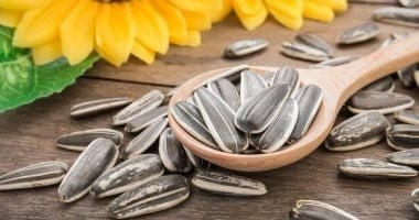 تسالي وصحة.. فوائد لا تتوقعها للب السورى