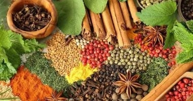 النعناع والقرفة أبرزها..8 أعشاب تناولها منقوعة لحصد فوائدها الصحية