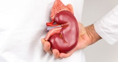 الكلى أكثر تأثرًا بالموجة الحارة.. اعرف إزاى تحافظ عليها