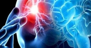 دراسة: أدمغة القطط المصابة بالخرف تطابق أدمغة البشر المرضى