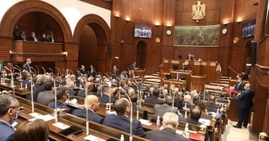 مجلس الشيوخ يفتح ملف التنمر والعنف والتحرش بـ3 طلبات مناقشة