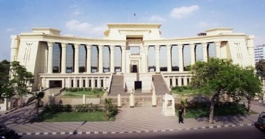 السبت.. الحكم بدعوى عدم دستورية إلزام صاحب العمل بسداد قيمة المعاش للتأمينات