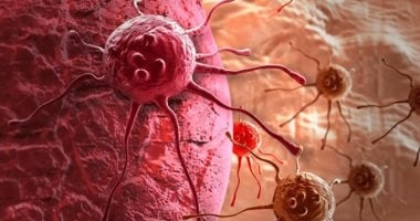 7 أطعمة مضادة للسرطان احرص على تناولها بانتظام