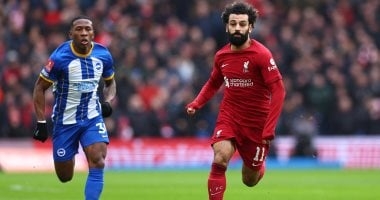 موعد مباراة برايتون ضد ليفربول في الدوري الإنجليزي