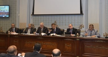 زراعة النواب تعلن انتهاء مشكلة مستحقات مزارعي القطن بالدقهلية