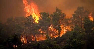حرائق تلتهم غابات الجبل الأخضر وتقترب من المناطق السكنية شرق ليبيا (فيديو)