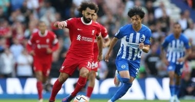 برايتون ضد ليفربول.. سجل حافل يدعم محمد صلاح فى موقعة "فالمر"