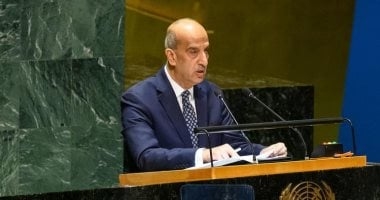 مندوب مصر بالأمم المتحدة: يجب إصلاح منظومة مجلس الأمن