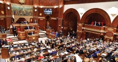 توفير أكثر من 30 سلعة أساسية خلال 2024 على بطاقات التموين بـ36 مليار جنيه