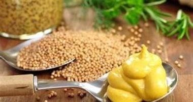 أضف "المستردة" إلى طعامك.. فوائد غير متوقعة