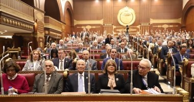 اعرف المستندات المطلوبة للترشح لانتخابات مجلس الشيوخ قبل فتح الباب رسميا