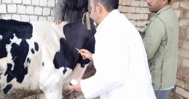بحوث الصحة الحيوانية: علاج وفحص 4 آلاف رأس ماشية مجانًا فى الفيوم