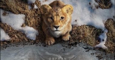مليون دولار إضافية لفيلم Mufasa: The Lion King حول العالم
