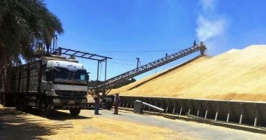 محافظ سوهاج: توريد 165 ألف طن قمح وصرف 2.5 مليار جنيه مستحقات للمزارعين