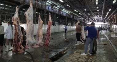 بيطري سوهاج: فتح المجازر الحكومية مجانًا خلال عيد الأضحى