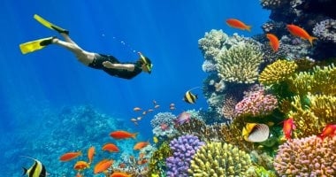 تليجراف تختار منتجعات البحر الأحمر من بين أفضل 10 وجهات سفر فى سبتمبر