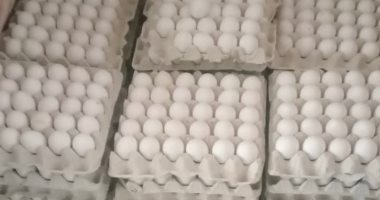 الإصلاح الزراعى: طرح بيض المائدة للمواطنين بسعر 115 جنيها للطبق