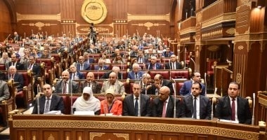 5 ضوابط ترسم ملامح قائمة الـ100 المعينون بمجلس الشيوخ 2025