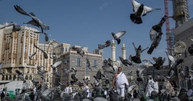 نجاح نفرة الحجاج من عرفات إلى المزدلفة.. وجهود متميزة لبعثة حج القرعة
